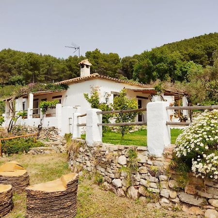 Villa Huerta Nacimiento Montecorto Dış mekan fotoğraf