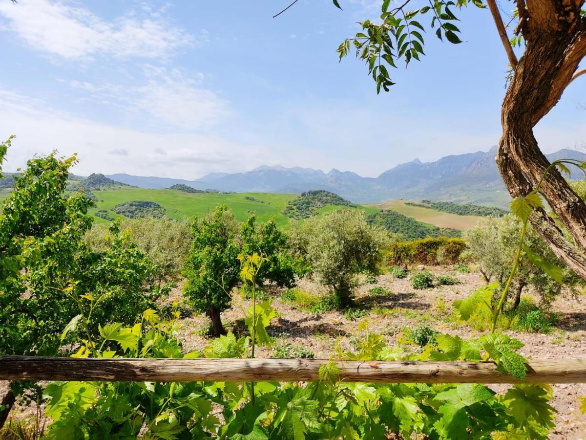 Villa Huerta Nacimiento Montecorto Dış mekan fotoğraf